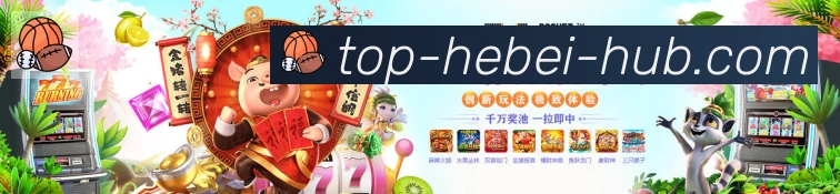 河北体彩棋牌服务体系